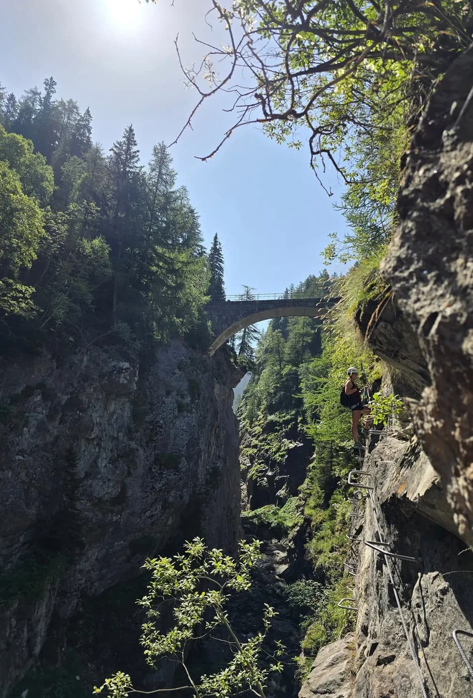 Via Ferrata des gorges de Mauvoisin Saxifrage - photo 1
