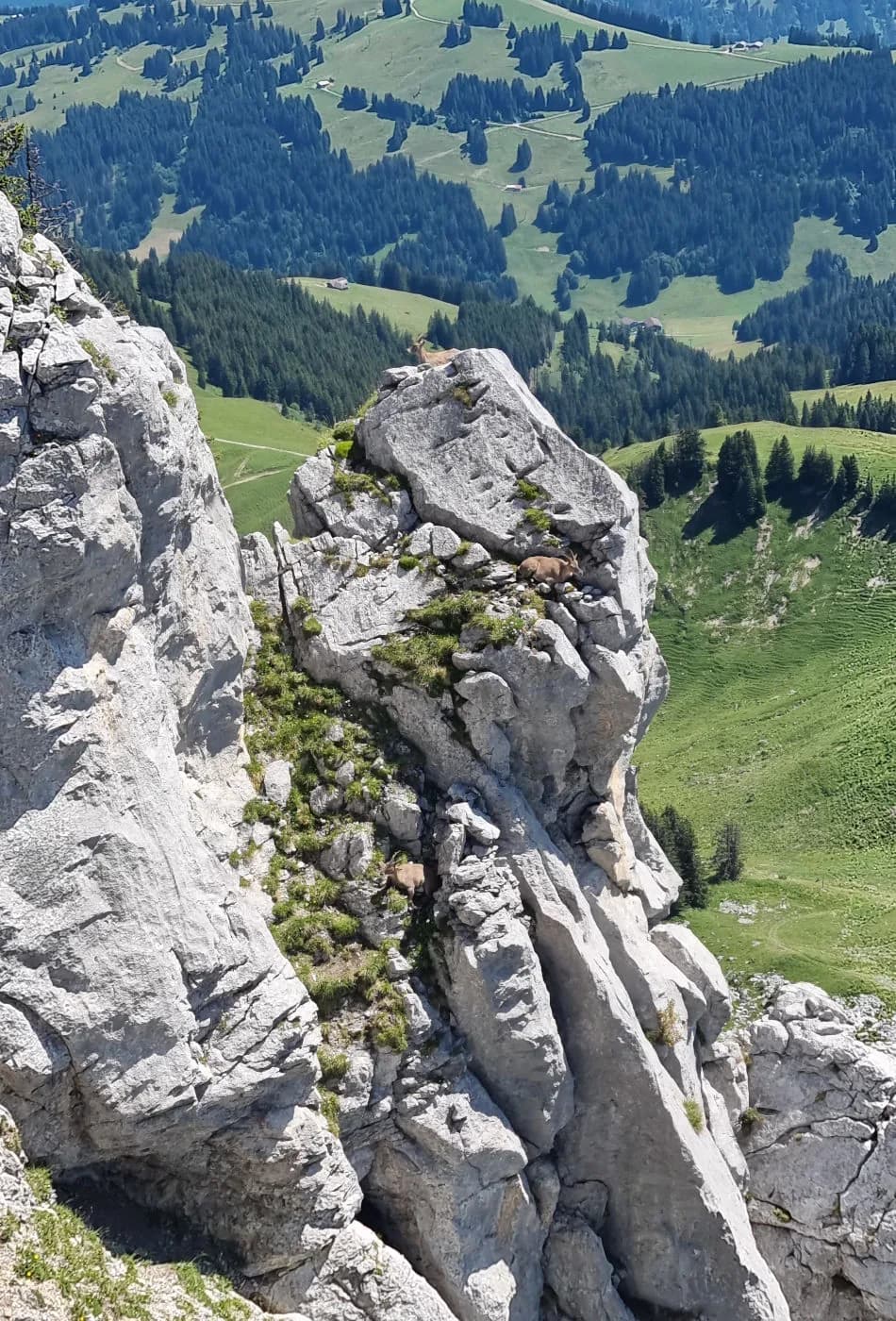 Via Ferrata Videmanette 3 - photo 3