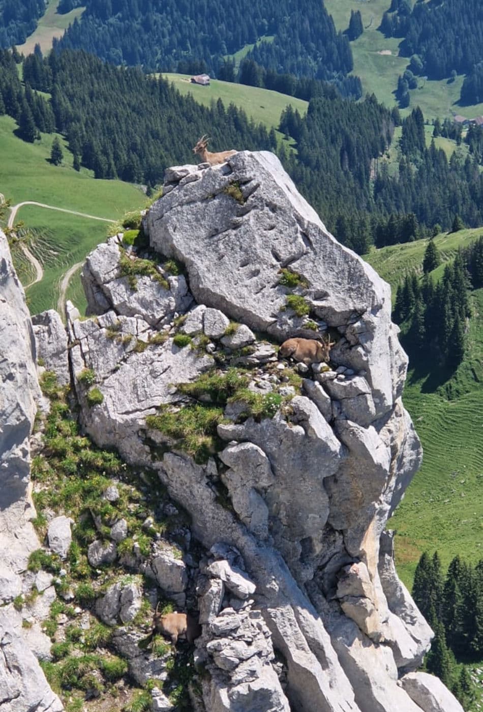 Via Ferrata Videmanette 3 - photo 4