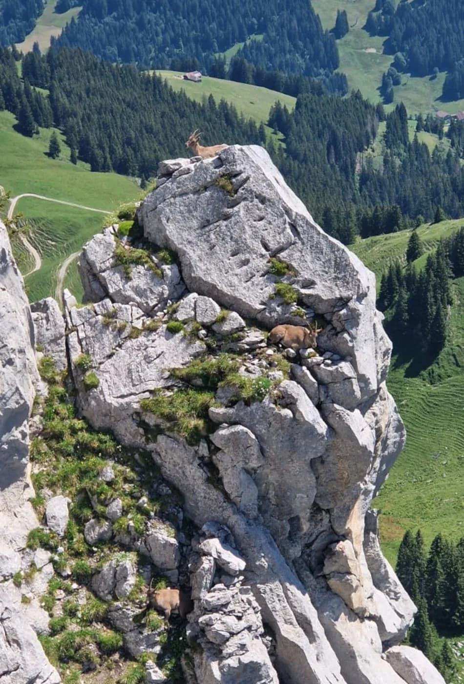 Via Ferrata Videmanette 3 - photo 5