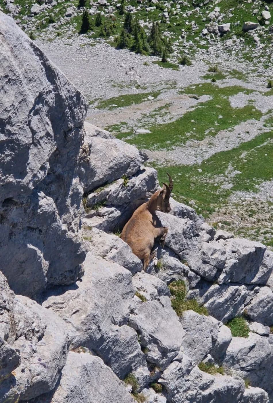 Via Ferrata Videmanette 3 - photo 6